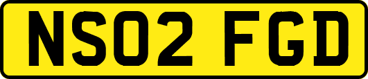 NS02FGD