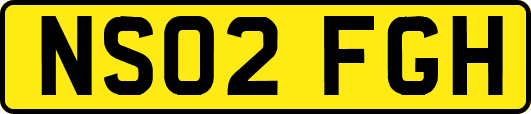 NS02FGH