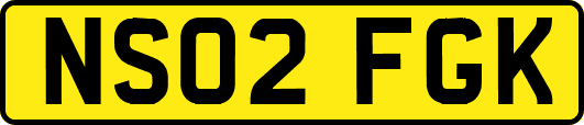 NS02FGK