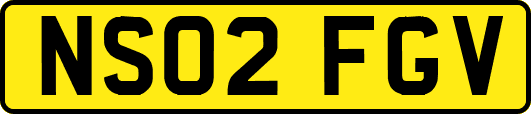 NS02FGV
