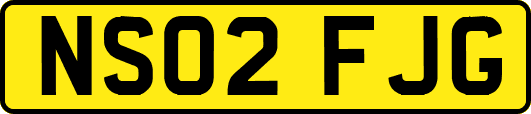 NS02FJG
