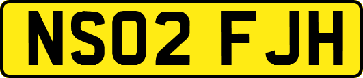 NS02FJH