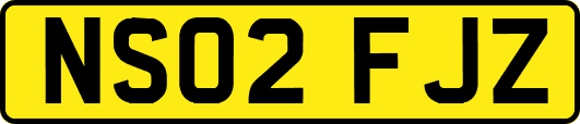 NS02FJZ