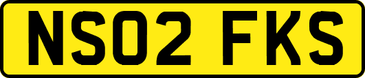 NS02FKS