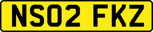 NS02FKZ