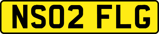 NS02FLG