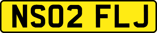 NS02FLJ