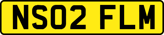 NS02FLM