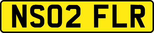 NS02FLR