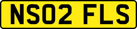 NS02FLS