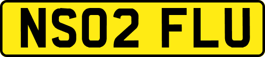 NS02FLU