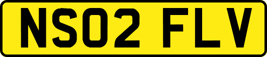 NS02FLV