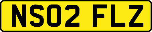 NS02FLZ