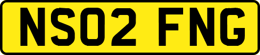 NS02FNG