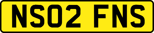 NS02FNS