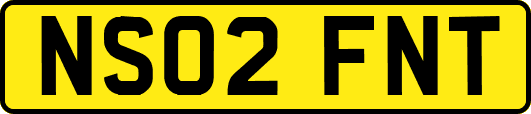 NS02FNT
