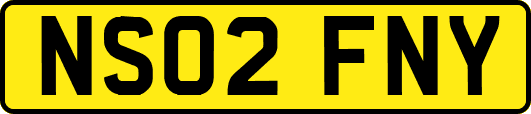 NS02FNY