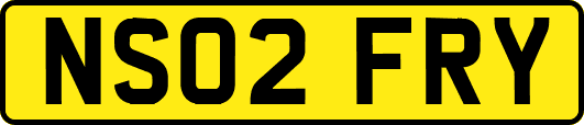 NS02FRY