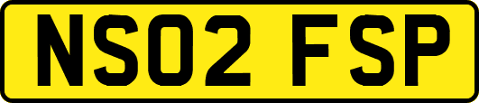 NS02FSP