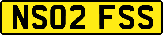 NS02FSS