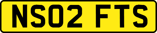 NS02FTS