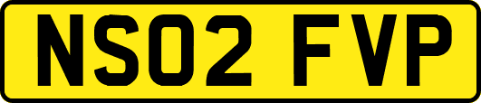 NS02FVP