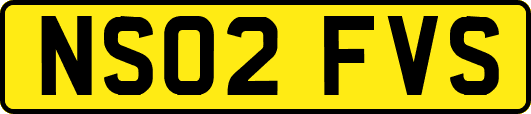 NS02FVS