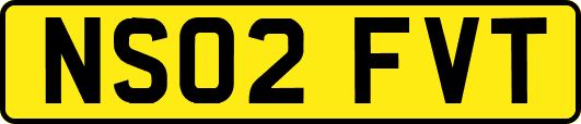 NS02FVT