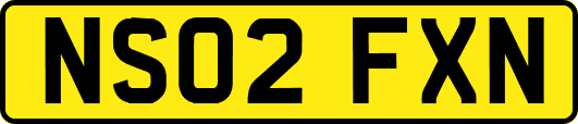 NS02FXN