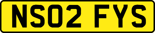 NS02FYS