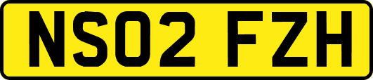 NS02FZH