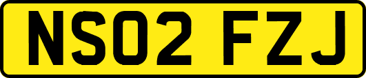 NS02FZJ