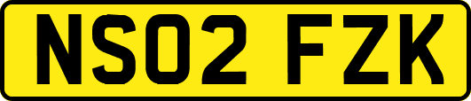 NS02FZK