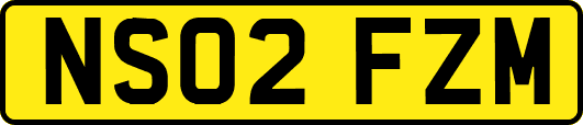 NS02FZM