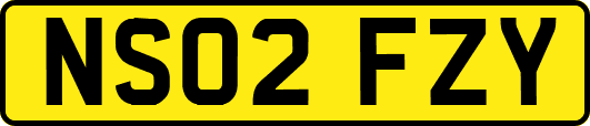 NS02FZY
