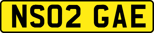 NS02GAE