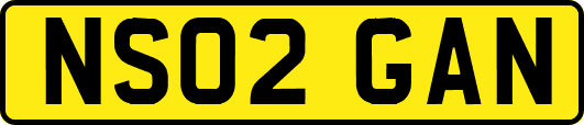 NS02GAN