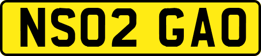 NS02GAO