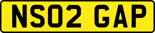 NS02GAP