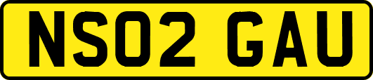 NS02GAU