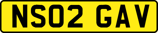 NS02GAV