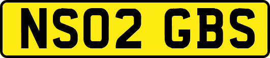 NS02GBS