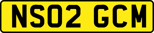 NS02GCM