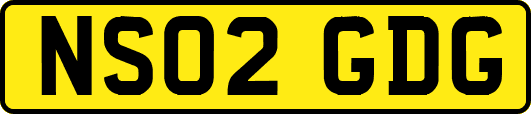 NS02GDG