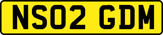 NS02GDM