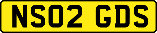 NS02GDS