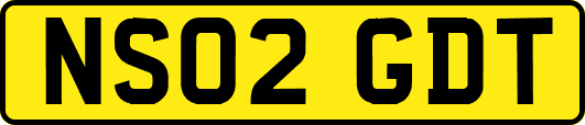 NS02GDT
