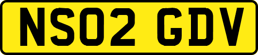 NS02GDV