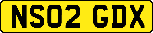 NS02GDX