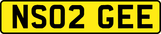 NS02GEE